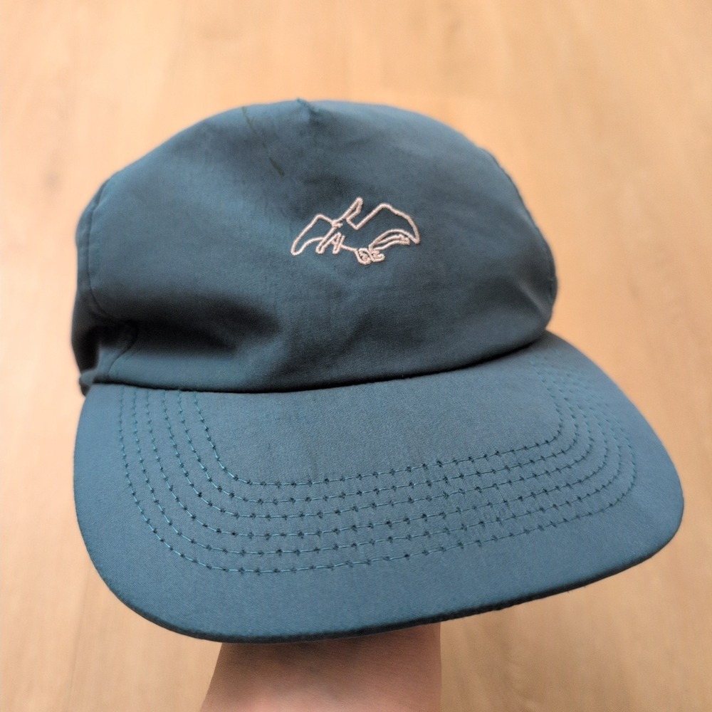 Airblaster Company Teal Pterodactyl Snapback Hat Mens 5 Panel Flat Brim Cap